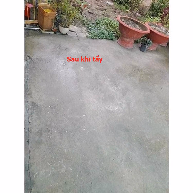 Thuốc Diệt Rong, Bột Tẩy Rong Rêu Nền Gạch, Xi Măng, Trần Nhà, Tường Nhà Túi 500G Ctb451 - Bechip - Ảnh 5