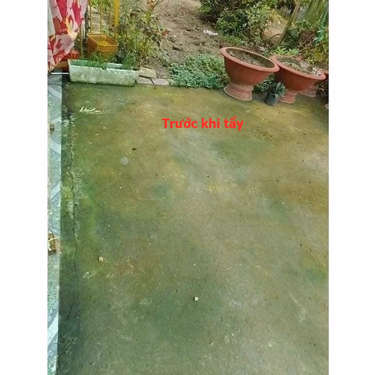 Thuốc Diệt Rong, Bột Tẩy Rong Rêu Nền Gạch, Xi Măng, Trần Nhà, Tường Nhà Túi 500G Ctb451 - Bechip - Ảnh 6